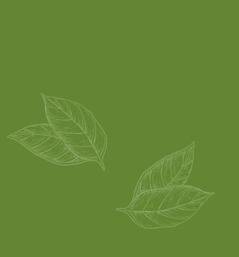 text background image