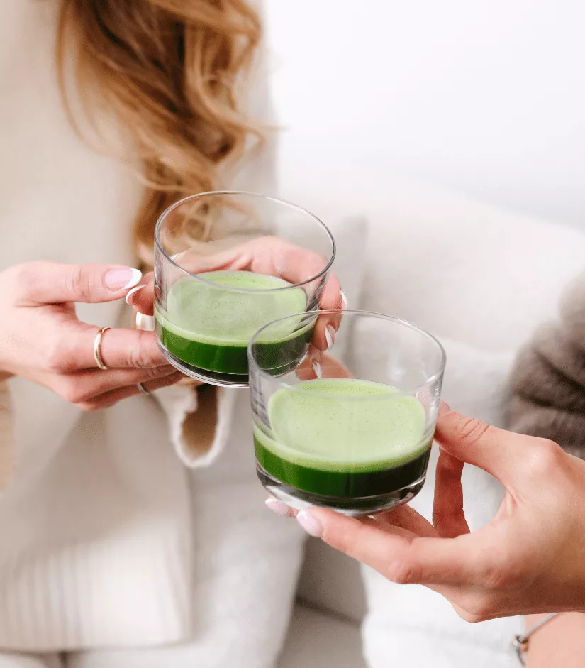 Matcha Premium z prefektury Kagoshima