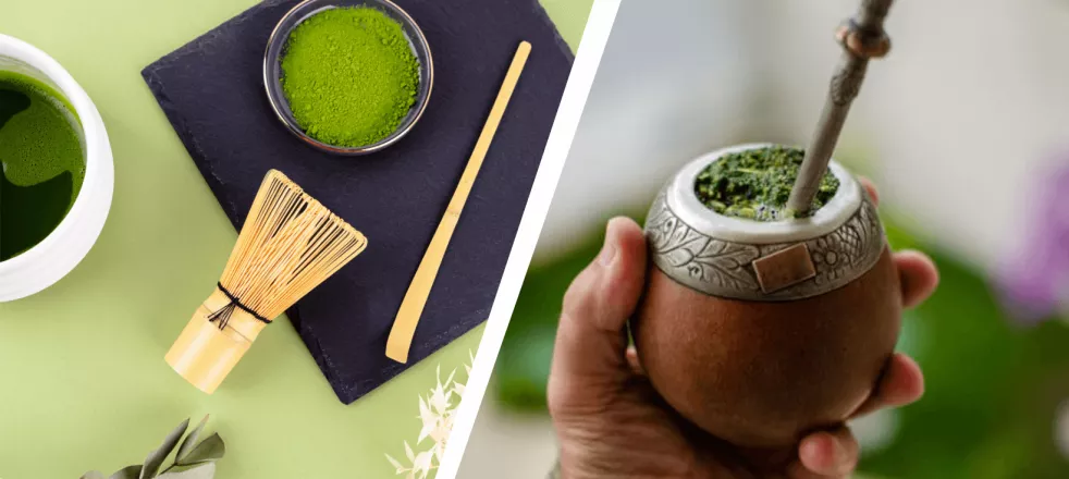 matcha vs yerba mate