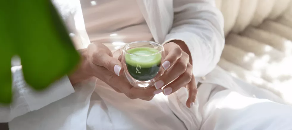 matcha ceremonialna w dłoni