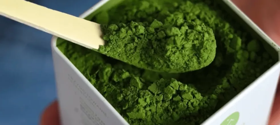 proszek matcha