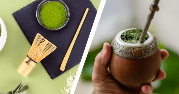 matcha vs yerba mate