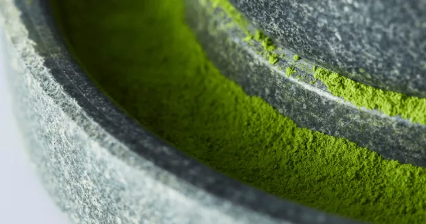 Herbata w Proszku - Dlaczego Matcha jest Proszkowana?