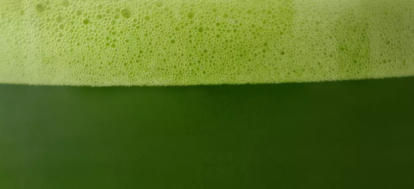 Matcha Ceremonialna